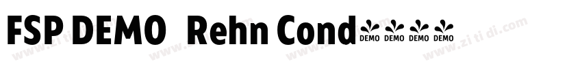 FSP DEMO   Rehn Cond字体转换